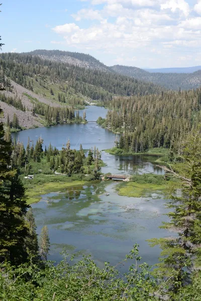 DSC_3205 (Large).JPG